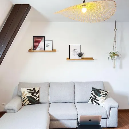 شقة Appart'hotel Le Dornach - Proche Gare Et Autoroute *