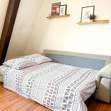 Appart'hotel Le Dornach - Proche Gare Et Autoroute