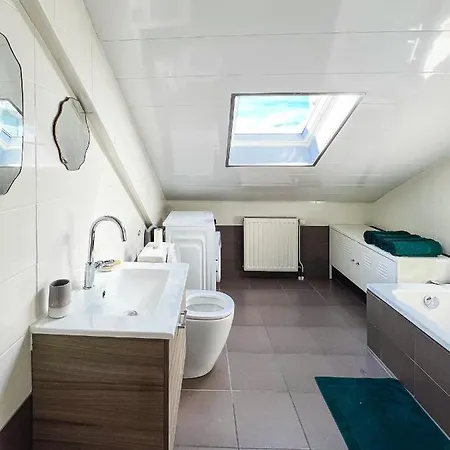 Appart'hotel Le Dornach - Proche Gare Et Autoroute * Mulhouse