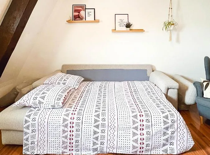 Appart'hotel Le Dornach - Proche Gare Et Autoroute Apartament *