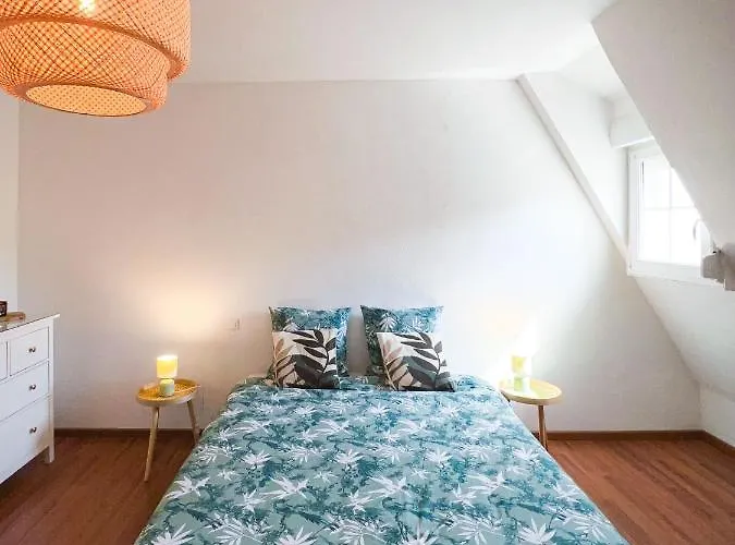 Appart'hotel Le Dornach - Proche Gare Et Autoroute Appartement