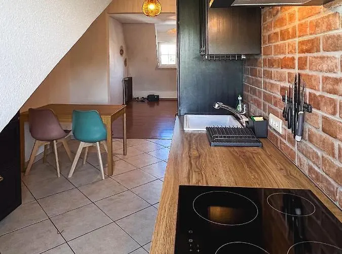 Appart'hotel Le Dornach - Proche Gare Et Autoroute